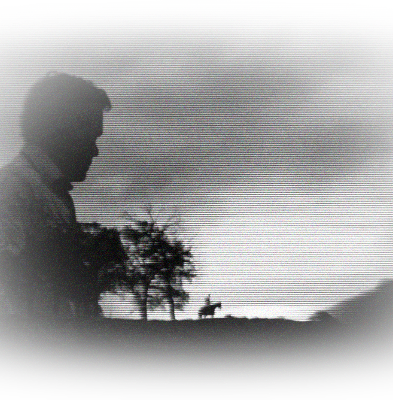 horses in heaven mobile banner image